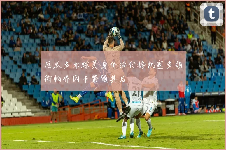 厄瓜多尔球员身价排行榜凯塞多领衔帕乔因卡紧随其后
