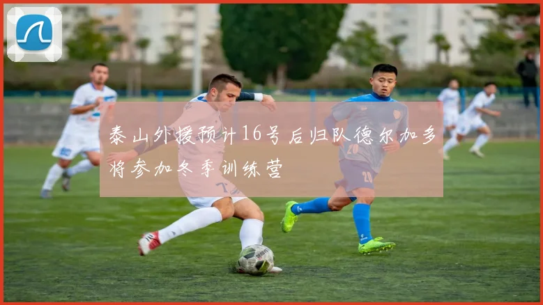 泰山外援预计16号后归队德尔加多将参加冬季训练营