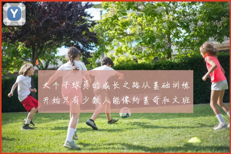 大个子球员的成长之路从基础训练开始只有少数人能像约基奇和文班那样成功