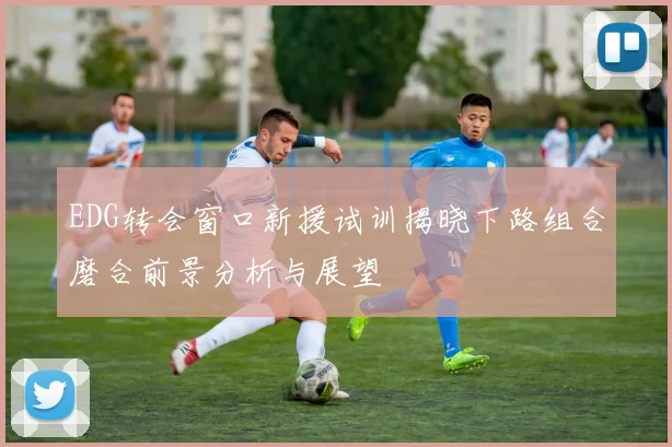 EDG转会窗口新援试训揭晓下路组合磨合前景分析与展望
